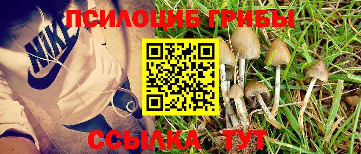 Псилоцибиновые грибы GOLDEN TEACHER  Вход с VPN  Гусиноозёрск 
