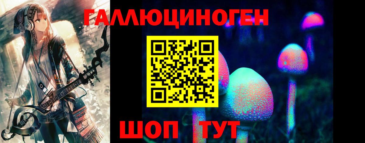 Галлюциногенные грибы Cubensis Гусиноозёрск